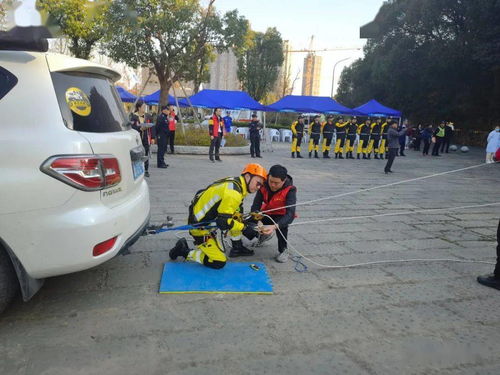 濱江區森林火災撲救演練與競賽圓滿落幕，三聯公益救援服務中心協辦助力